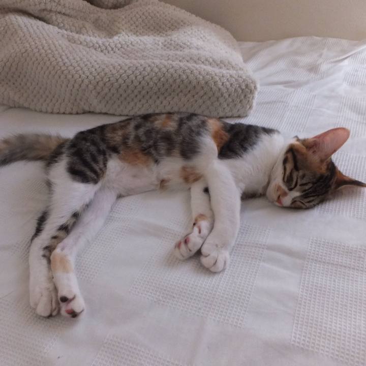 21b9414a ec2e 4ff6 9aa9 fa87f14f1c2c 1632106274152