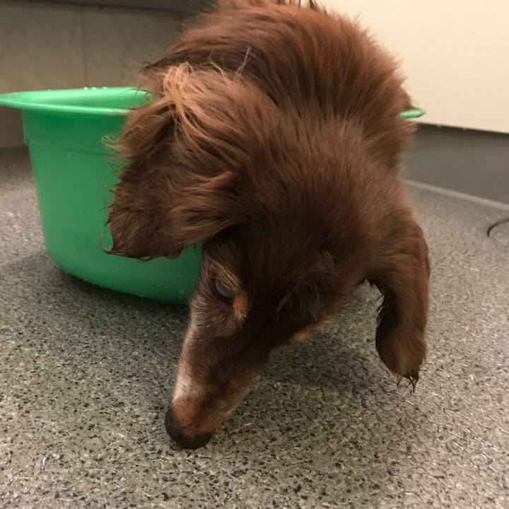 21b94fc8 9b09 4911 90ef 21289221ade9 1602744018056