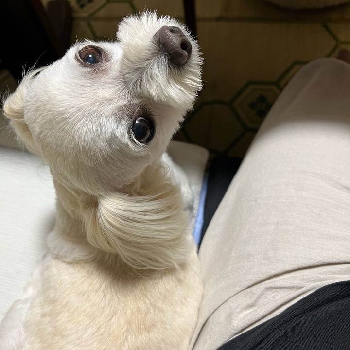 21b95b7e 3776 4eea 8510 f40fddffd826 1687174809524