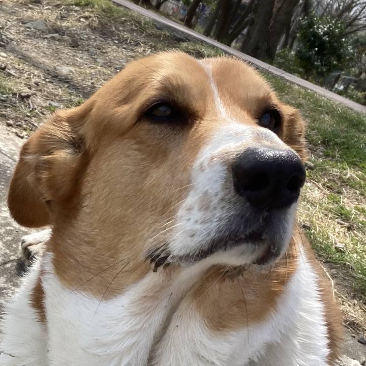 21b99b17 4050 4345 97b6 57377c9fa06a 1743817688731