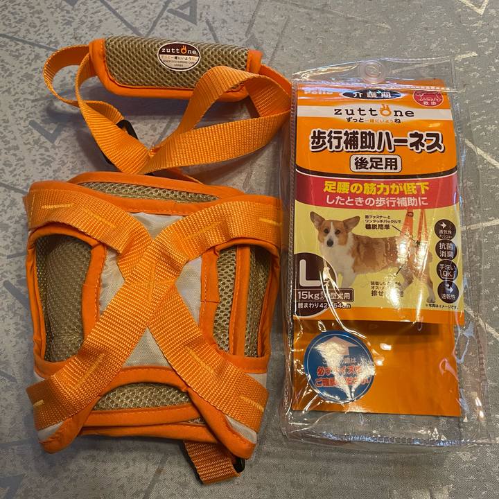 21b99f42 b045 4fc3 b840 10ba8cd485bd 1666618593123