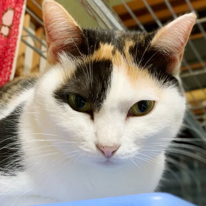 21b9d8b7 25fc 4ff3 9ced d4aa55f63ede 1541213994637