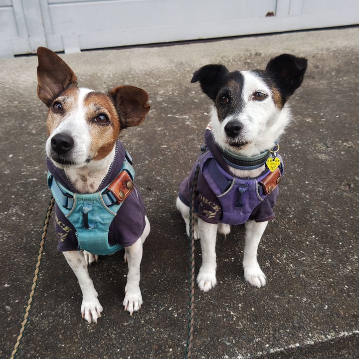 21b9dcb3 6212 475a 9c11 a58edd62ccee 1760823865506