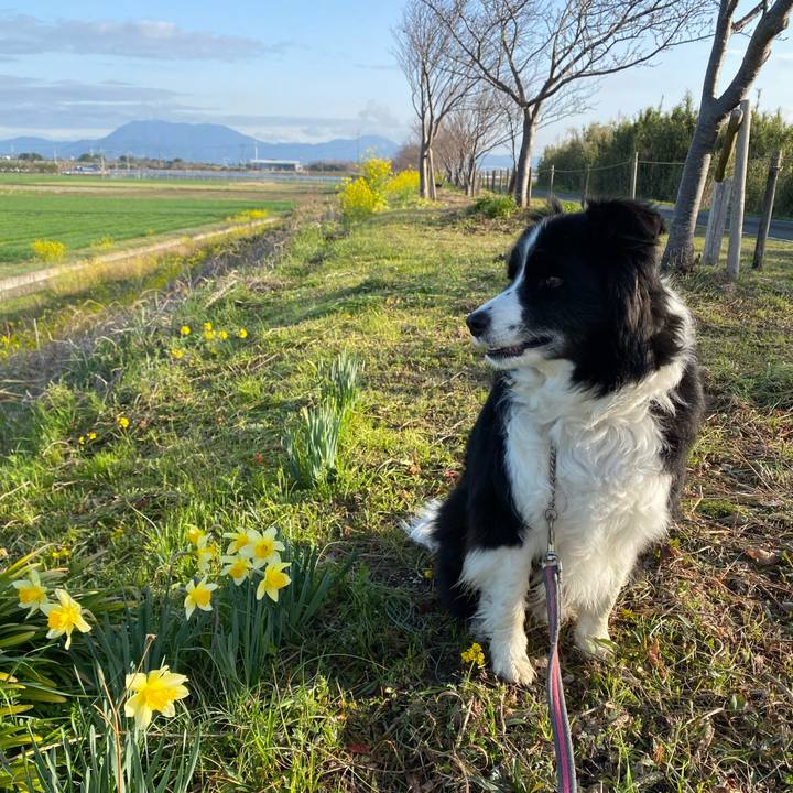 21b9e334 21a4 4fec bf34 bebc9980d4c4 1647735252558