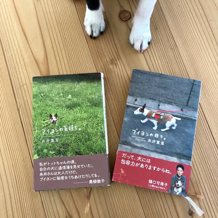 21b9f049 fc15 420c 973e 9cc2d5e36624 1521959610042