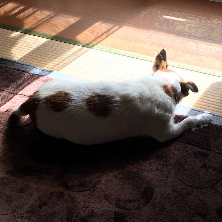 21ba0485 effd 461d 91b1 93916408866e 1511057898935