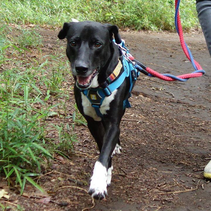 21ba238f d27f 4c07 9e51 1609d8ce2163 1622160022380