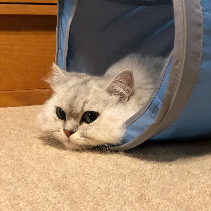 21ba2a49 4bd0 45ba 9dcc a3577302890b 1565930980326