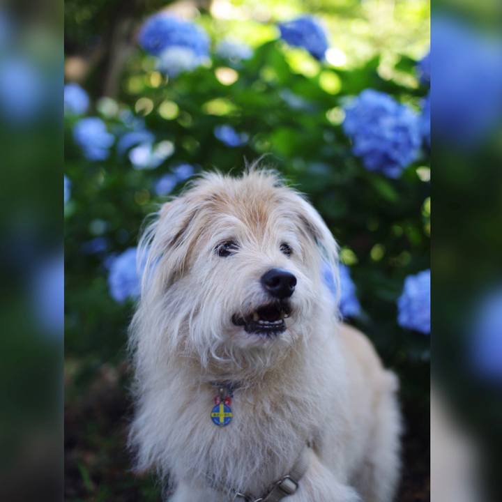 21ba4f48 cd05 4571 a566 27ece1dba32a 1624256068995