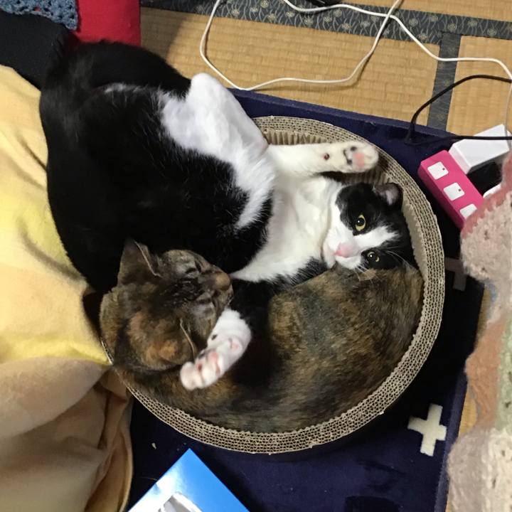 21babc92 ff38 4562 808b f0543d40179e 1707210588348