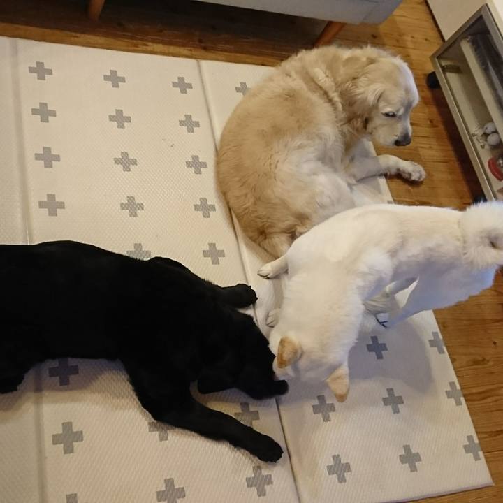 21badcf0 3e96 488a 8443 a0c4df85c49b 1550268116571