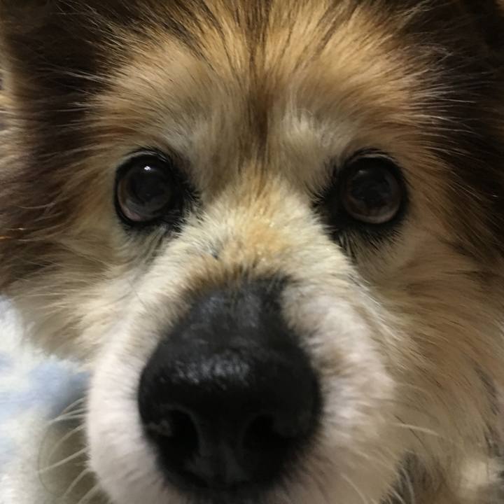 21bb0447 b2e6 4679 8f21 183f0c1aac28 1613609746579