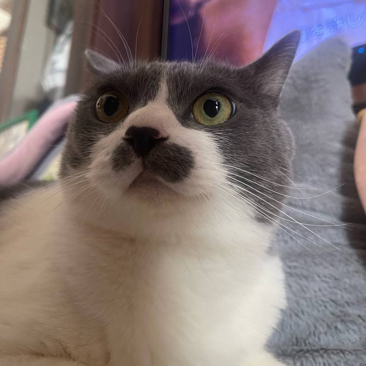 21bb354f e753 499a 887a 4b4ee1e53d7b 1751501182687