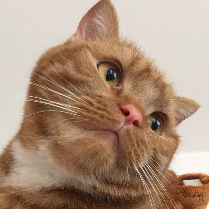 21bb6052 2fe0 4664 a2a4 e4240102969f 1532133235627