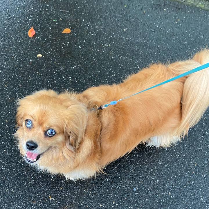 21bbc09d 90a8 4b5e bbf0 4e1df7b1fac5 1591912464641