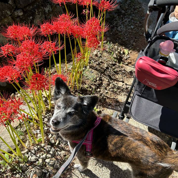 21bbe118 b0af 49d2 8933 b1b69b72763f 1734055891720