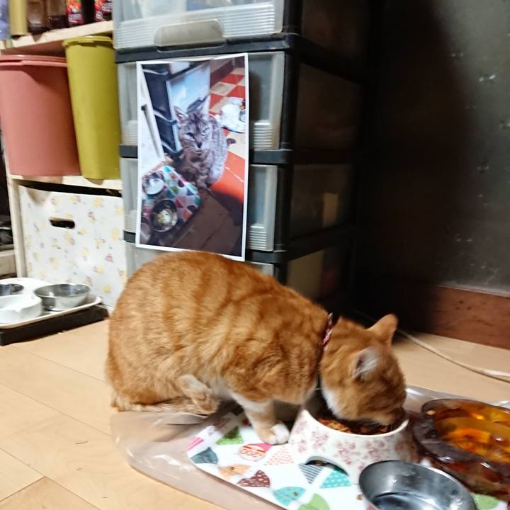 21bc03d9 3f7e 4e2e 9a25 f8134cb263a9 1601409410116