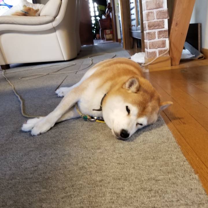 21bc07c7 3c0f 42b2 8f5c 791ea6dc1d5c 1638399807973