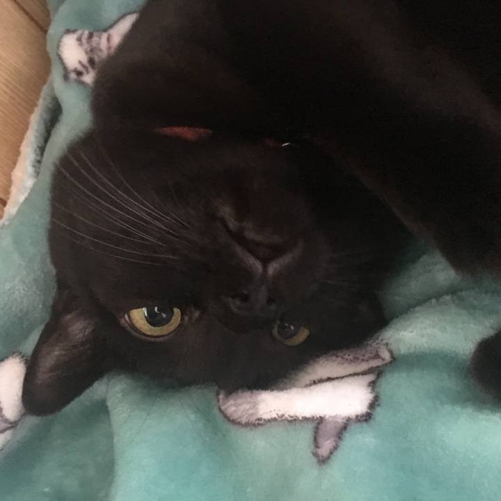 21bc4d37 1d7e 4f8e 8c4a a7df65ebb6f3 1509748338412