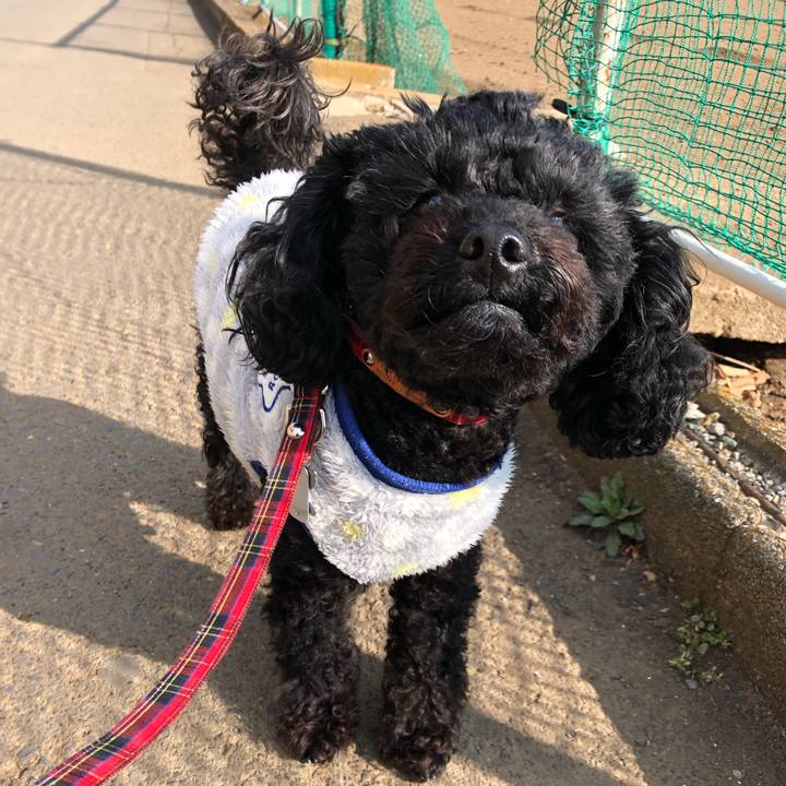 21bc599c 503d 4e2f be5f 6a773483524e 1550888970585