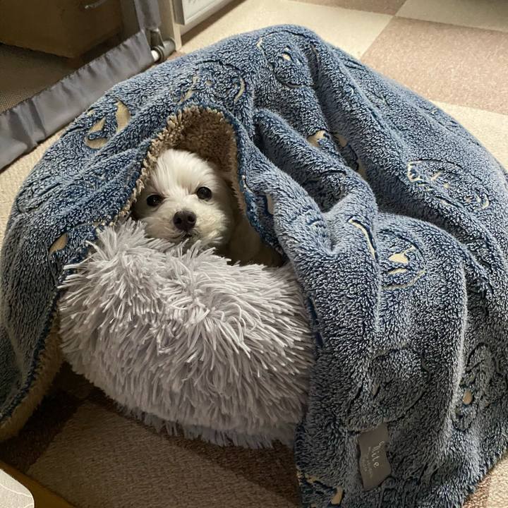 21bc7fee 8421 4b19 9f68 bb0348735d54 1641947444291