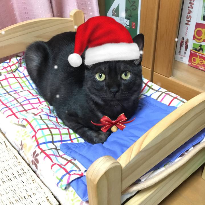 21bc98bd 2be9 4e50 b8e4 1a9ac8c543c8 1550885814013