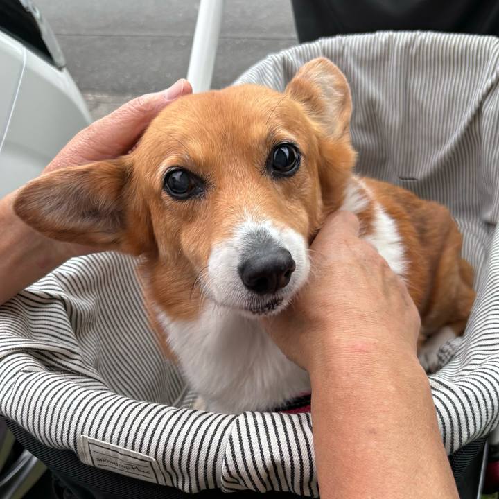 21bcc5a7 95b7 4c09 859d 1f63bdcad911 1746954250126