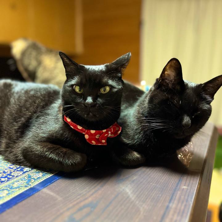 21bcdb13 bec9 4aec 8b11 c861869a8313 1688301807454