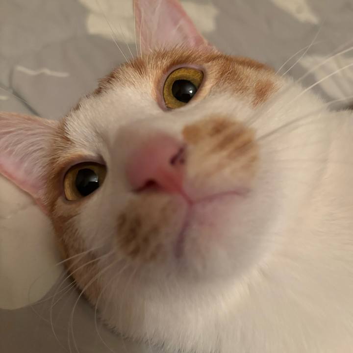 21bd397a 54e0 4ffc 9194 0182866647f9 1722252614839