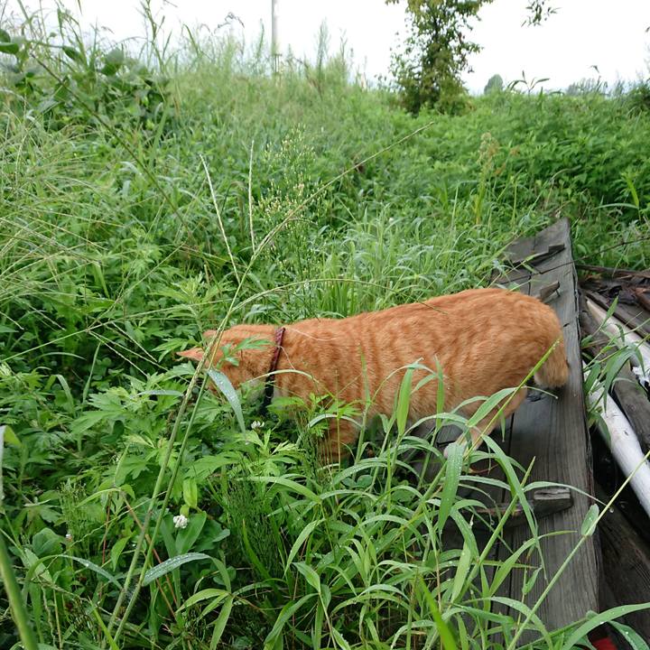 21bdd1b9 a55f 4e6b b563 c330d9e5b4d8 1567201562634