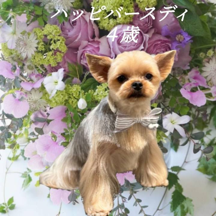 21be1890 4061 4c8c 9a3d f938b5f5ff7b 1706856813671