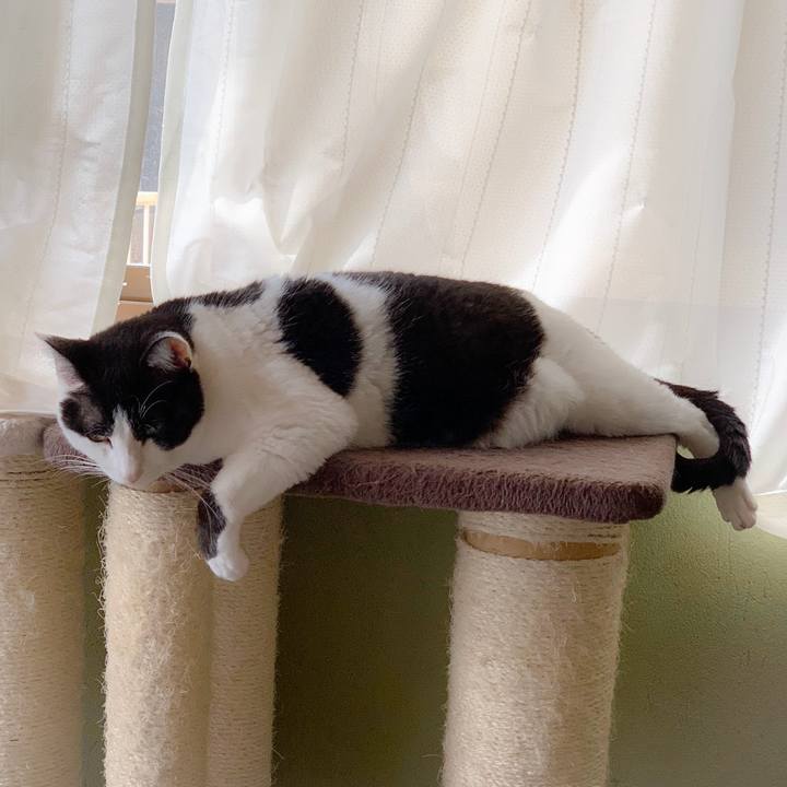 21be5803 e1a1 40db 9e87 0d9f047e8e35 1558834742583