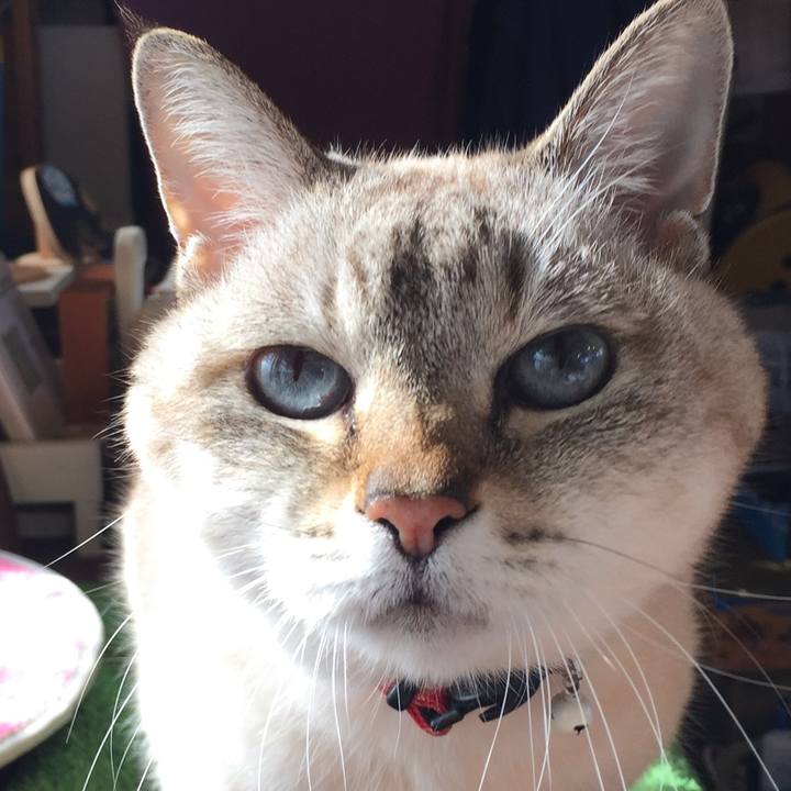 21be6126 f8d6 4e25 8a10 da0ead4a63f2 1579235137354