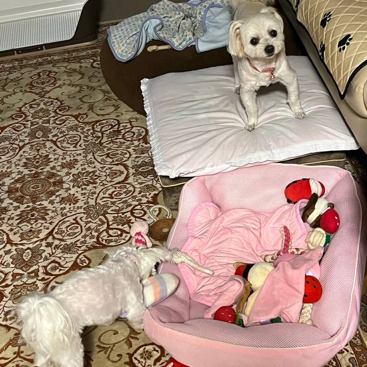 21be620e bc4b 4bfe a7ec 422a9a2895e9 1721300888909