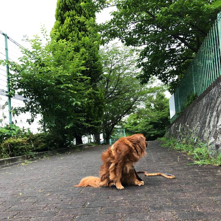 21bead74 0438 40e9 bb2b de76f0d87723 1623508283991