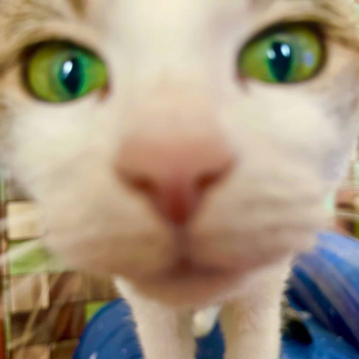 21bec59d 57c2 4bd2 aa73 30e707344872 1637973788970