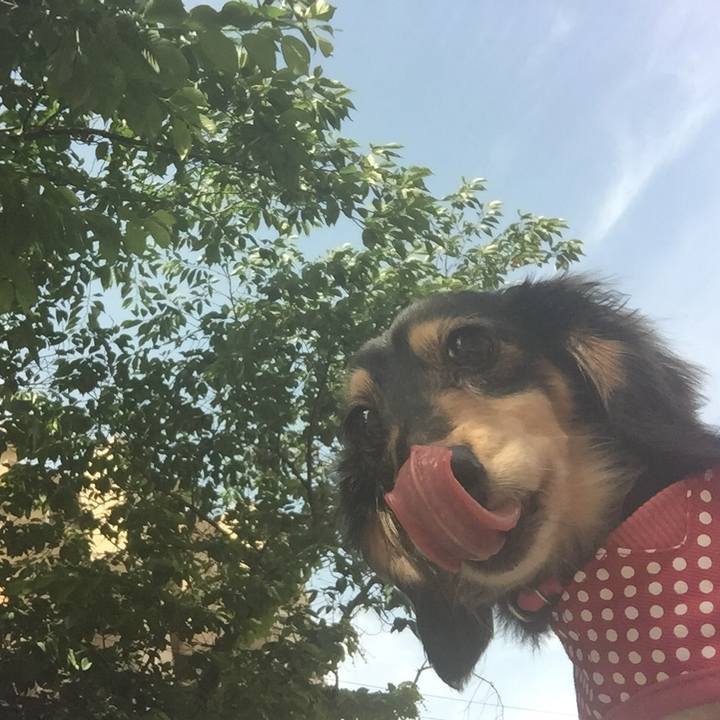 21becbf3 0c94 45f6 9db0 e0125d008b00 1527207544581