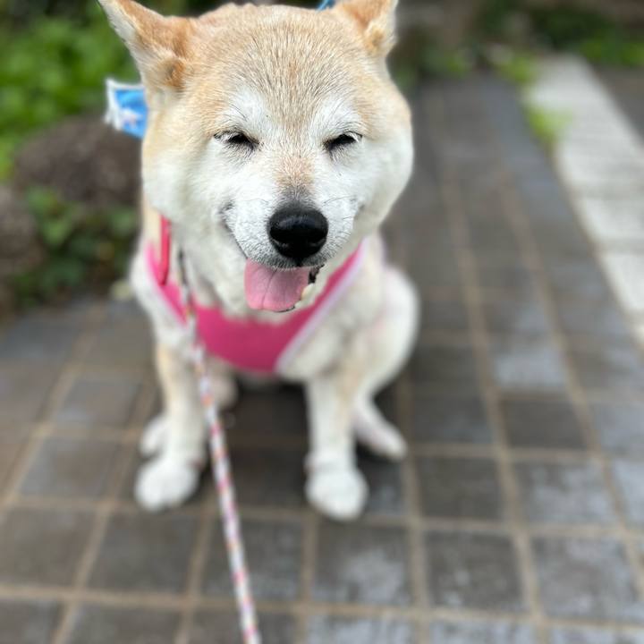 21bef140 16d5 48de a395 eb14f976cf1a 1745041620846