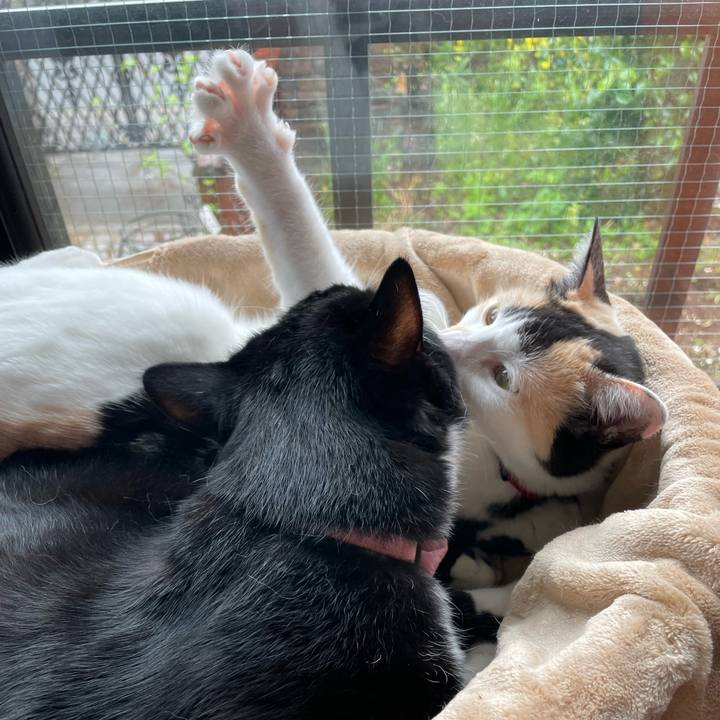 21befa6e 3173 43b2 afc1 95e1794d74e2 1712622355437