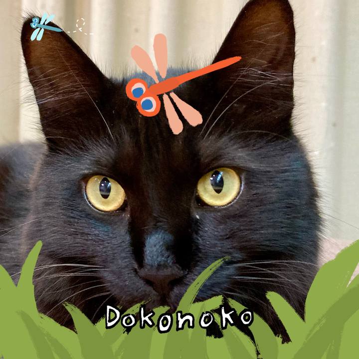 21bf626e fb58 4cc8 ad82 f9db17f7573b 1727078441068