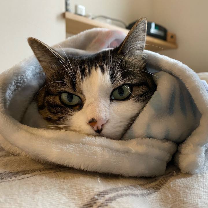 21bfade1 ba1a 48e2 ad03 97b6b55f963b 1634178969557