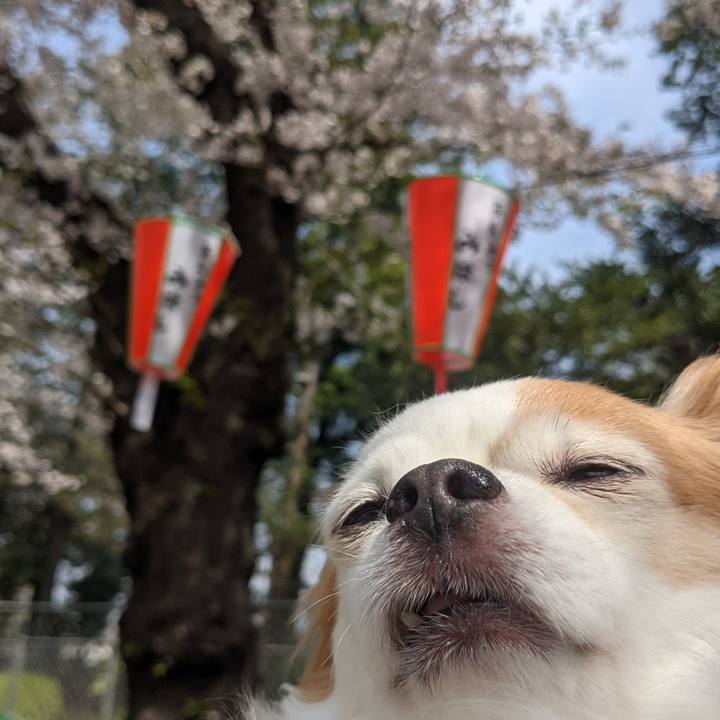 21bfda0f 566a 4159 b932 1d340a467861 1616832855724