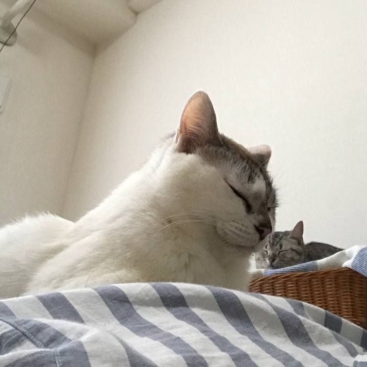 21c00562 e333 4a67 a999 789887c117b0 1524890863250