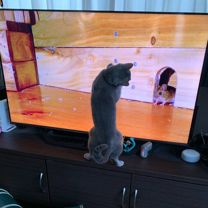 21c09917 27ad 41bf 995c 6835f09f1fde 1675642245427