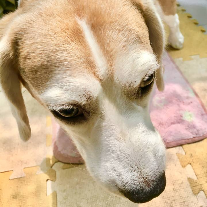 21c0bbad 6c86 4004 856a eee51821cce7 1753750938374