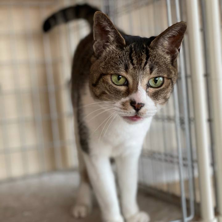 21c0bfdc d320 415a bca3 1cadedb56e7a 1616807977464