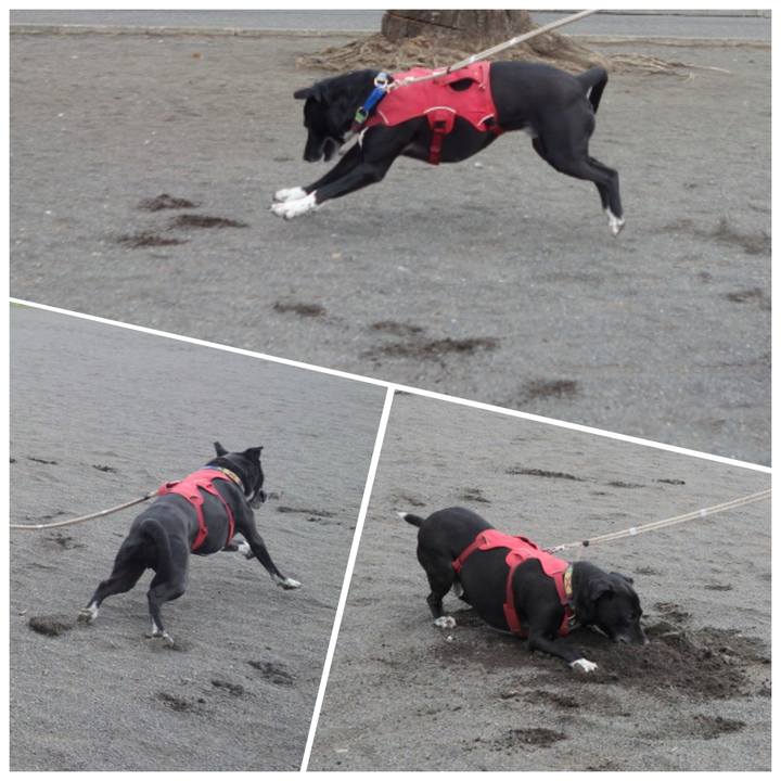 21c0dc06 553e 4f03 a943 548b81f0c257 1678755838154