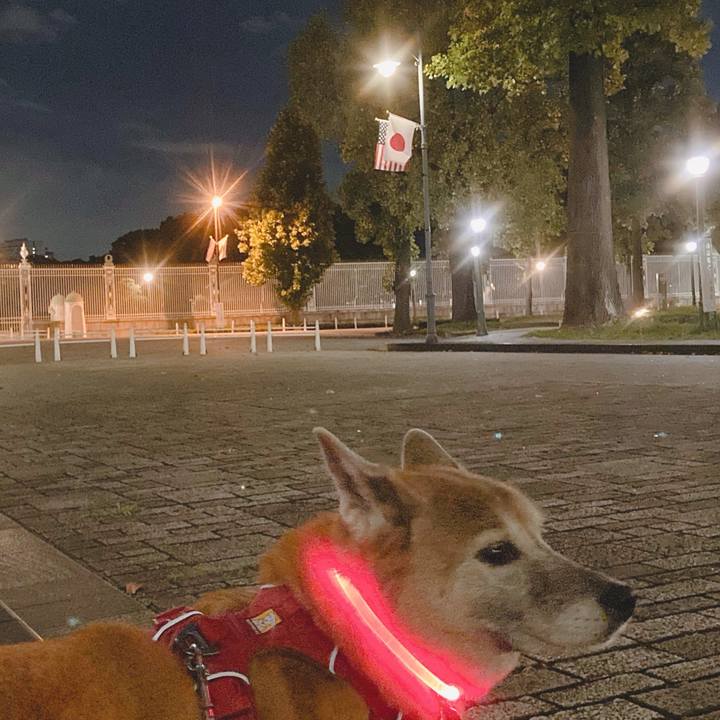 21c0dc8f 41d9 43b8 b372 a95fd88ceef2 1761599065367