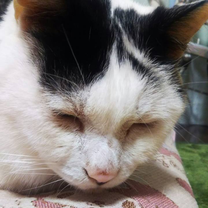 21c1371a 090a 45ac b673 c88735d6d1d2 1565489648913