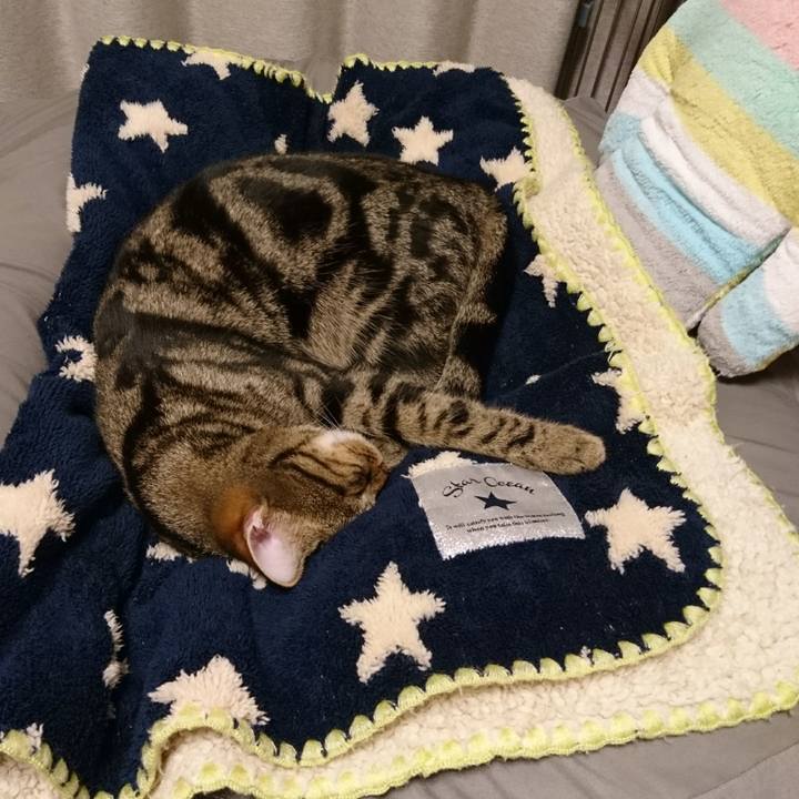 21c13f0c 85d0 4538 b8ff ed60e60c3b07 1508760107626